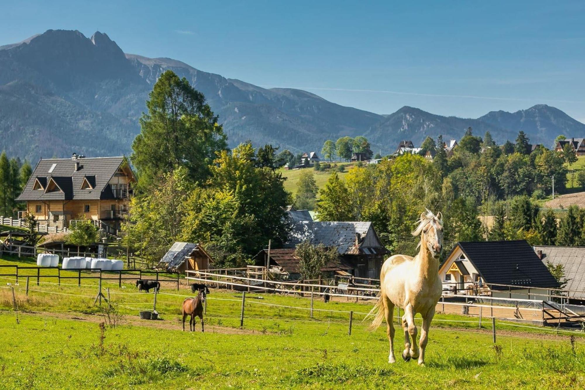 Rent Like Home - Willa Zoniowka Premium Zakopane Exterior photo